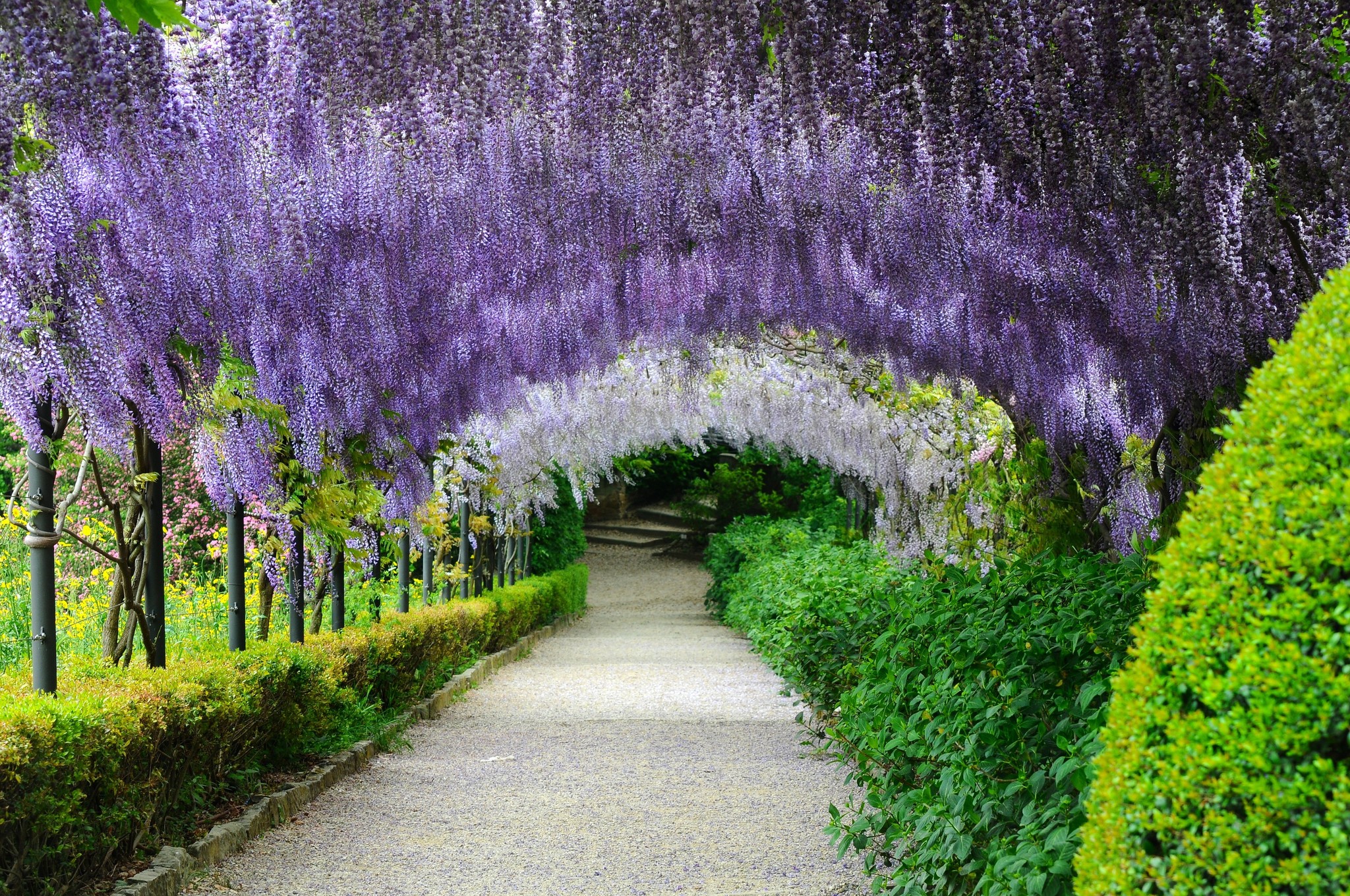 Primavera al giardino Bardini, il più bel panorama su Firenze